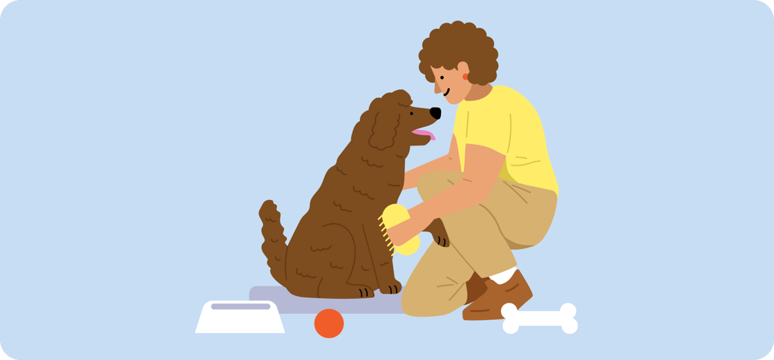 illustration-of-woman-brushing-dog